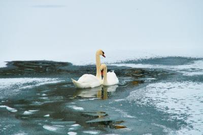 Прикрепленное изображение: Image00003.jpg